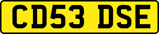 CD53DSE