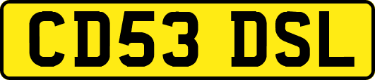 CD53DSL