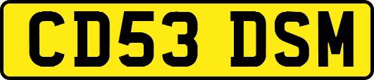CD53DSM