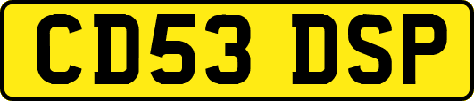 CD53DSP