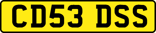 CD53DSS