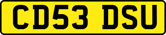 CD53DSU