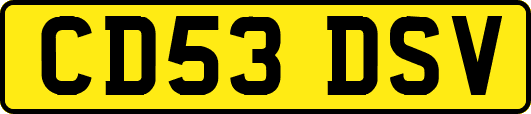 CD53DSV