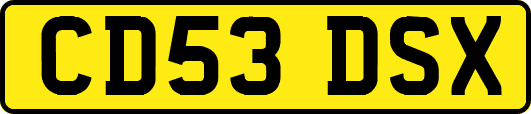 CD53DSX