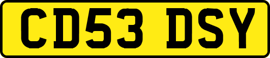 CD53DSY