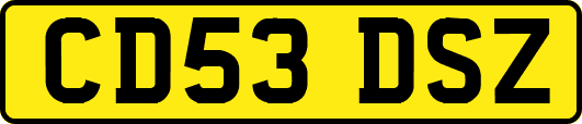 CD53DSZ