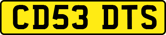 CD53DTS