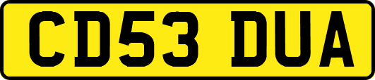 CD53DUA