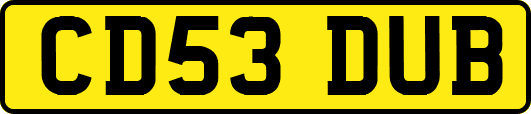 CD53DUB
