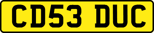 CD53DUC