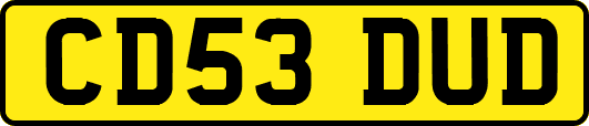 CD53DUD