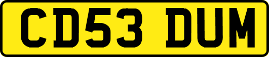 CD53DUM