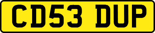 CD53DUP