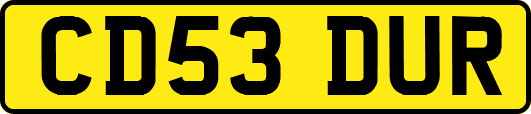 CD53DUR
