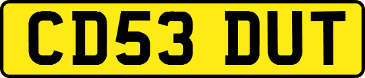 CD53DUT