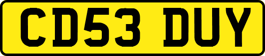 CD53DUY