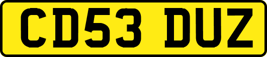 CD53DUZ