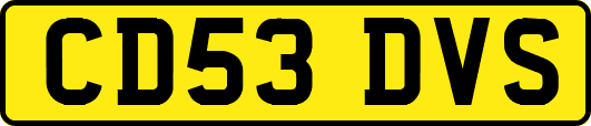 CD53DVS