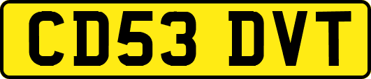 CD53DVT