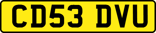 CD53DVU