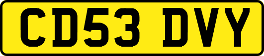 CD53DVY
