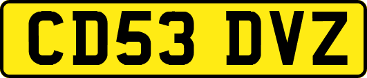 CD53DVZ