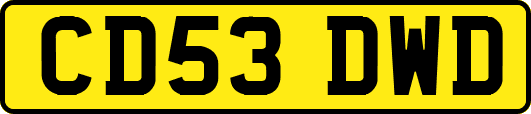 CD53DWD