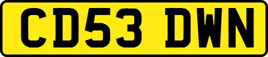 CD53DWN