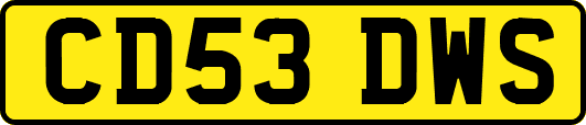 CD53DWS