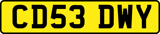 CD53DWY