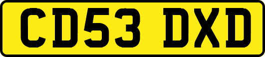 CD53DXD