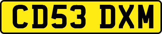 CD53DXM