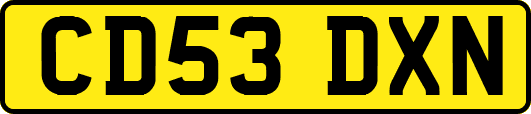 CD53DXN
