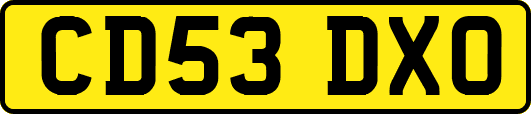 CD53DXO