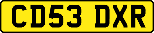 CD53DXR