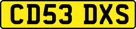 CD53DXS