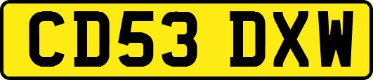 CD53DXW
