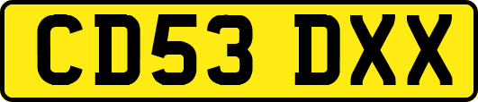 CD53DXX