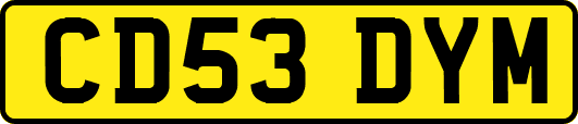CD53DYM