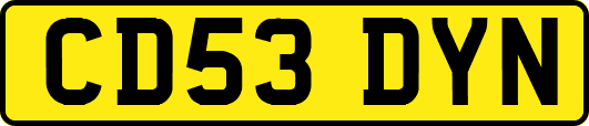 CD53DYN