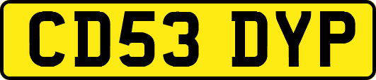 CD53DYP