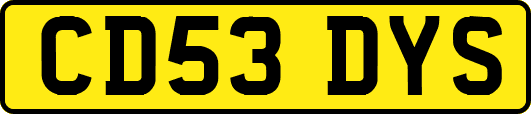 CD53DYS