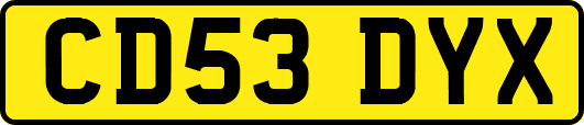 CD53DYX