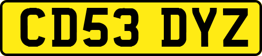 CD53DYZ