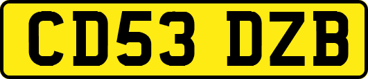 CD53DZB