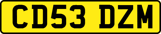 CD53DZM