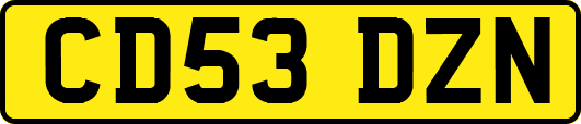 CD53DZN