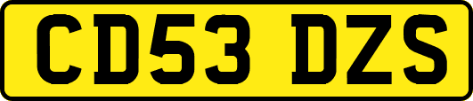 CD53DZS