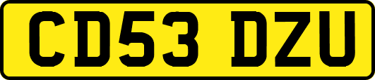 CD53DZU