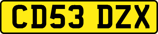 CD53DZX
